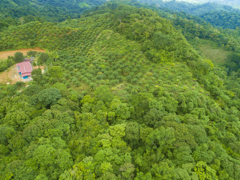 Land For Sale in Golfito Costa Rica